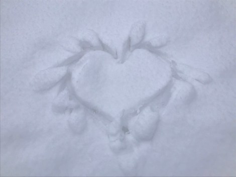 snow heart